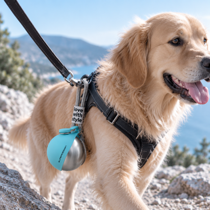 Walk-Ready Design