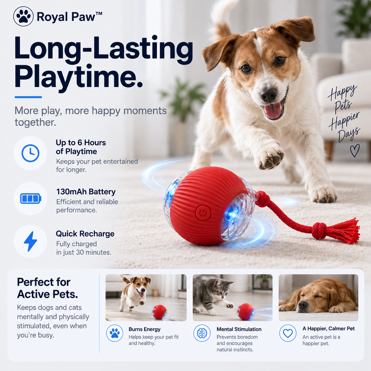 Motion Ball