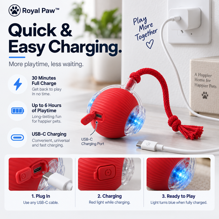 Rechargeable Design