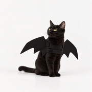 Bat Wings Cat Costume
