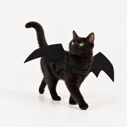 Bat Wings Cat Costume