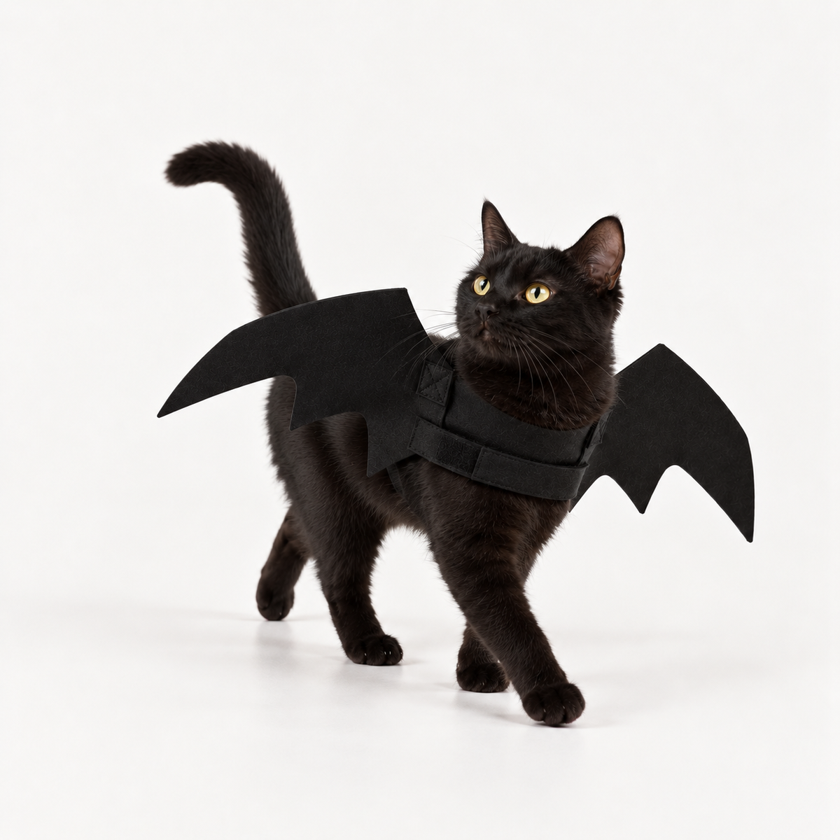 Bat Wings Cat Costume